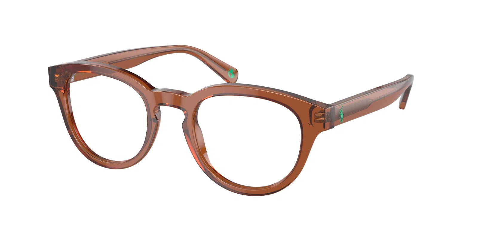 Polo 2262 Eyeglasses - view 4
